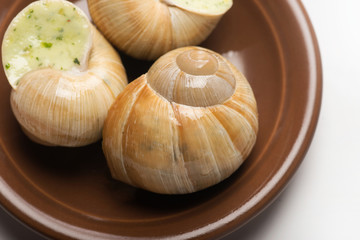 still life of stuffed snail sauce, on a white background