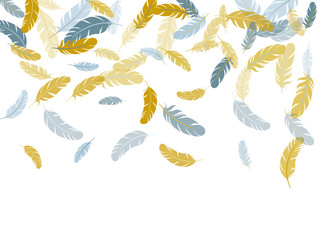 Falling feather elements soft vector design.