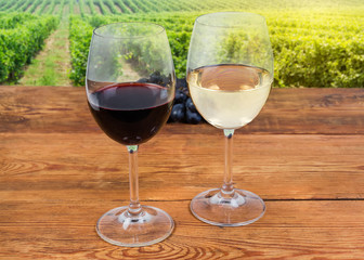 Two glasses of red and white wine against the vineyard