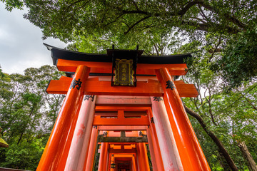 Kyoto, Japan, August 2019 - Detail of the organge torii covering the scenic pathway of Fushimi Inari shrine, one of the most famous tourist destination of Japan