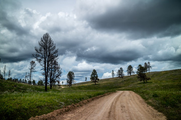 A long way down the road of Custer State Park, South Dakota