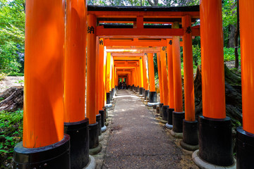 Torii path at Fushimi Inari shrine, Kyoto, Japan. There are more than 10,000 full sized torii gates at Fushimi Inari