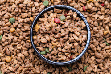 Bowl on dry pet food