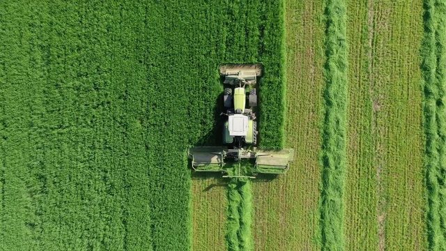 Rural Tractor Mowing Fresh Green Grass For Hay Or Livestock Feed Aerial Top View
