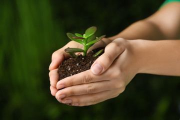 Female hands with plant on green background. Earth day celebration