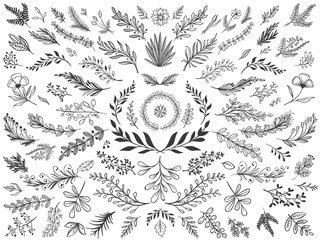 Hand drawn floral decor leaves. Sketch ornamental branches, decorative leafs and flowers vector illustration set. Collection of sprigs, natural design elements, monochrome floristic decorations. - obrazy, fototapety, plakaty