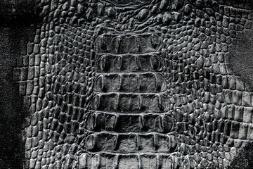 crocodile skin texture