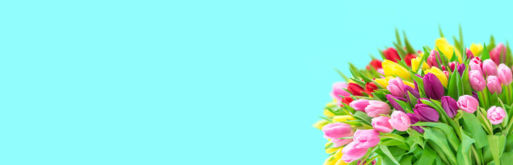 Tulip Flowers spring flowers bouquet Floral banner