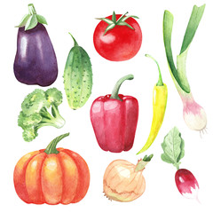 set for the gardener from watercolor vegetables
