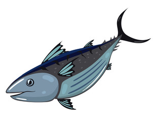 Tuna fish isolated on white background. Vector graphics.