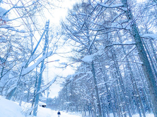 雪道