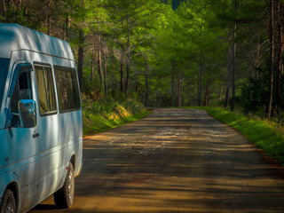 Obraz premium Road in the forest