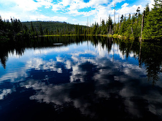 Nature 