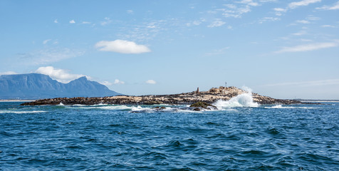 Fototapeta na wymiar Seal Island