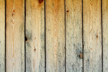 Light yellow wooden wall from boards. Retro texture design template