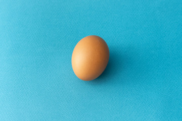 One brown egg on a blue background