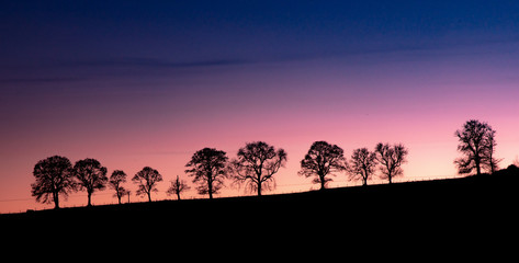 Fototapeta na wymiar Sunset silhouettes