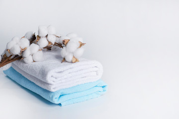 blue and white cotton towel with cotton branch- spa concept on white background