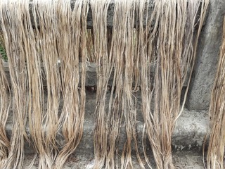 Raw jute fiber hanging on the bridge, under the sun for drying. Jute cultivation in Assam, India. Jute is known as the golden fiber. It is yellowish brown  natural vegetable fiber