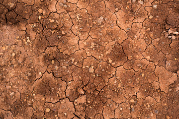 Texture of dried cracked clay. Macro background image of dried clay
