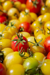 Yellow and red colored Cherry Tomatoes - Solanum lycopersicum.