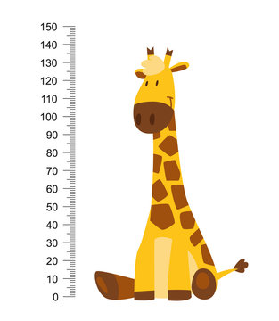 Sitting Cheerful funny giraffe with long neck. Height meter or meter wall or wall sticker from 0 to 150 centimeters to measure growth. Childrens vector illustration