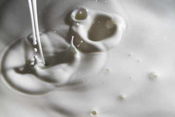 Milk splash