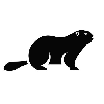 Groundhog Icon Vector