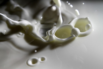 Milk splash