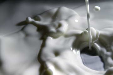 Milk splash
