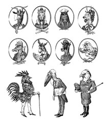 Animal characters set. Bald eagle Rooster Stork Walrus Crocodile Goat Dog Donkey Alpaca Llama Deer. Hand drawn portrait. Engraved monochrome sketch for card, label or tattoo. Hipster Anthropomorphism. © artbalitskiy