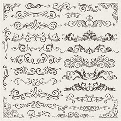 Vector set of calligraphic design elements and page decorations. Elegant collection of hand drawn swirls and curls for your design. Isolated on beige background