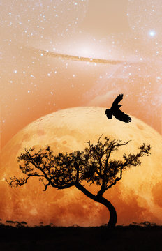 Fiction novel book cover template - unreal landscape of lone tree silhouette and flying bird with planet and galaxy visible in vivid orange sky. Elements of this image are furnished by NASA