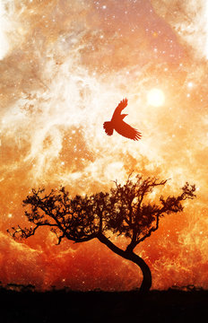 Ebook cover template - Lone tree silhouette with bird in flight on alien planet with glowing orange galaxy stars in the sky - elements of this image are furnished by NASA