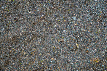 The texture of a shallow river stone. Pebble Background Image