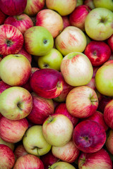 Tasty ripe red-green apples.