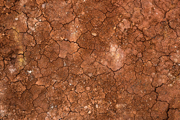 Texture of dried cracked clay. Macro background image of dried clay