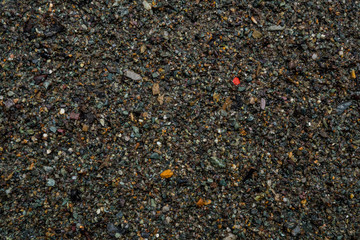 The texture of a shallow river stone. Pebble Background Image