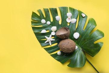Beach tropical concept with monstera leaf, coconuts, seashells on yellow background. Top view.