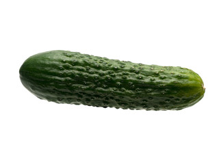 Graphic resources isolated object of cucumber on a white background