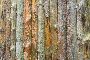 Weathered round wooden fence background texture