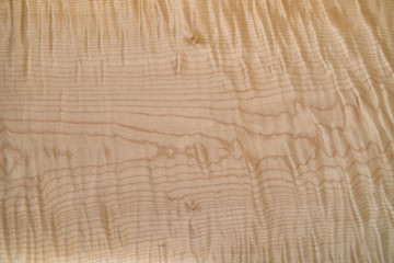 Sycamore maple texture. Sycamore maple veneer in workshop.