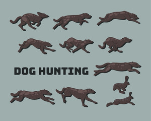 vector illustration of a set of dogs in motion, the dynamics of the animal's running. The hunting of the hare, rabbit, anatomy, movement