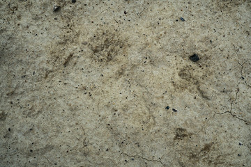 Texture of dried cracked clay. Macro background image of dried clay