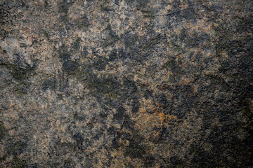 Texture of wet stone covered with moss. Background image of macro photography texture stone