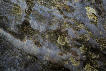 Texture of wet stone covered with moss. Background image of macro photography texture stone