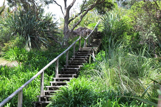 รูปภาพSubtropisch เลือกดูภาพถ่ายสต็อก เวกเตอร์ และวิดีโอ2,127 Adobe