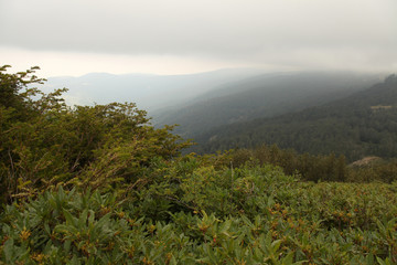 Flowing clouds closeup on mountains