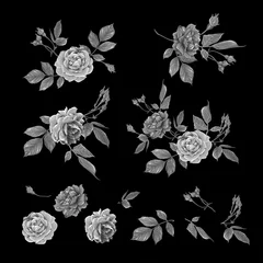 Fototapeten Red roses set. Multicolor vector illustration. Element for design. © Elen  Lane