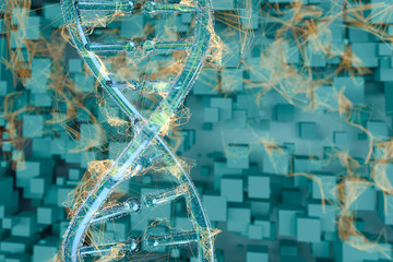 DNA and chromosomes,genes and inheritance,3d rendering.
